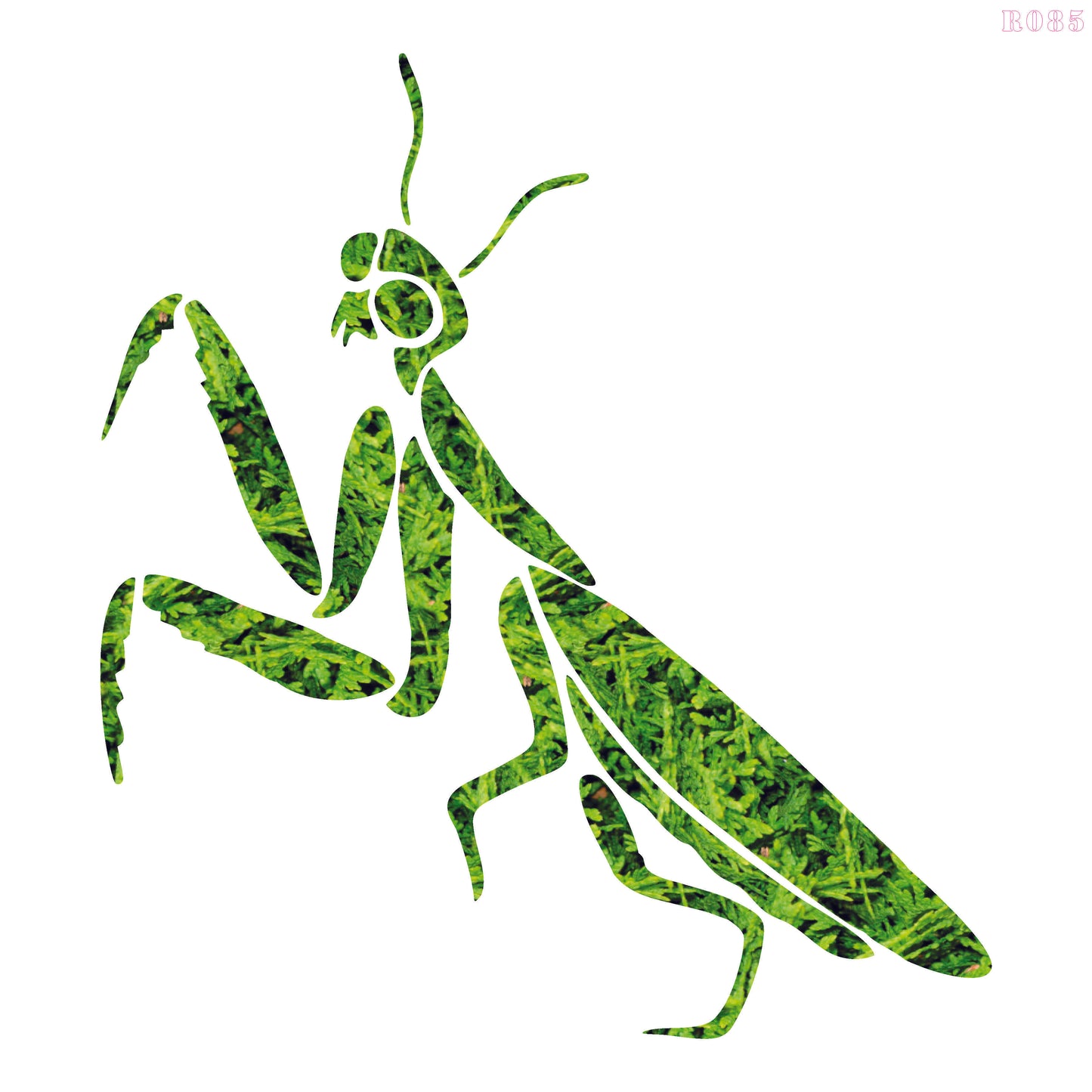 MaxxxMart - Grass and Grasshopper (Inches)